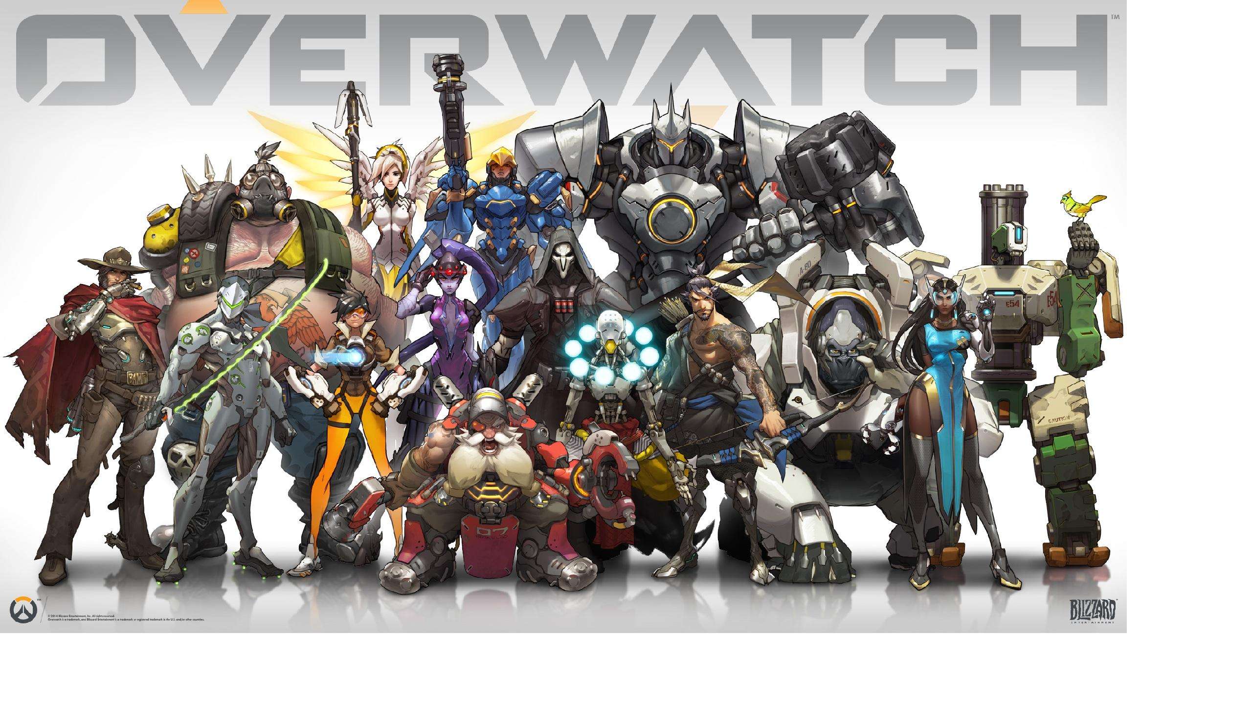 这一残疾人 这一残疾人